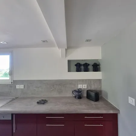 Apartment Loft T2 Parking Et Jardin Prive *