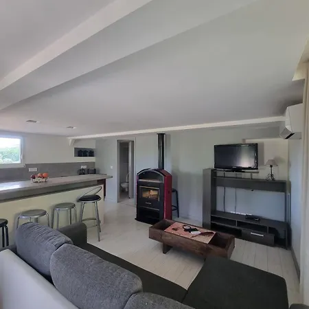 Apartment Loft T2 Parking Et Jardin Prive *
